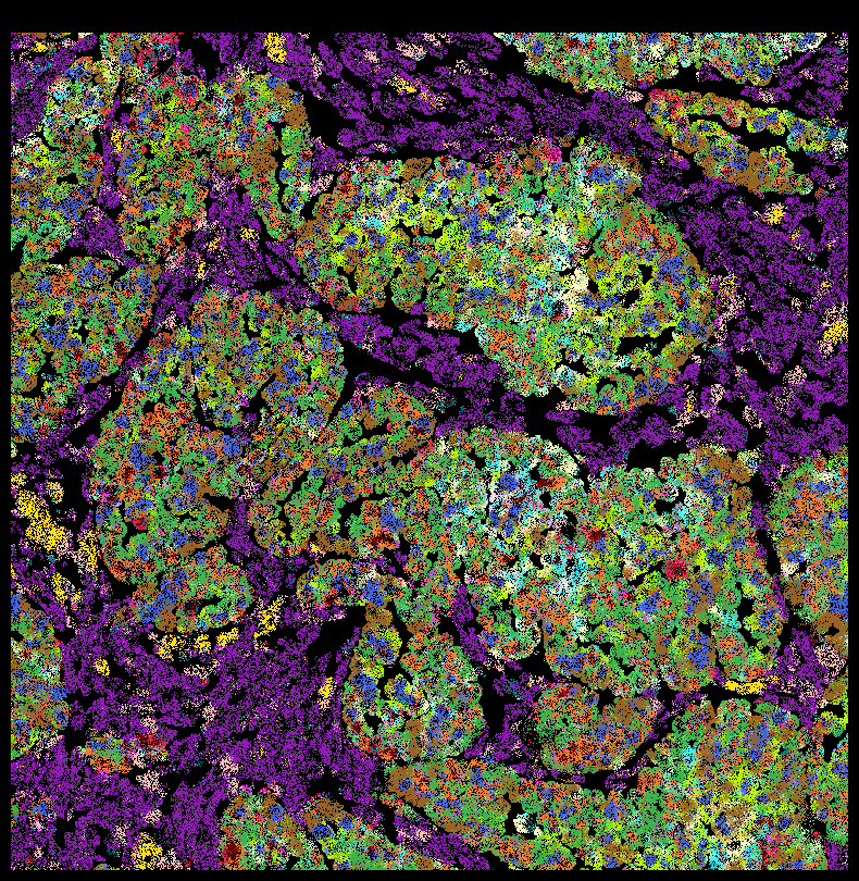 <Figure size 1000x1000 with 1 Axes>