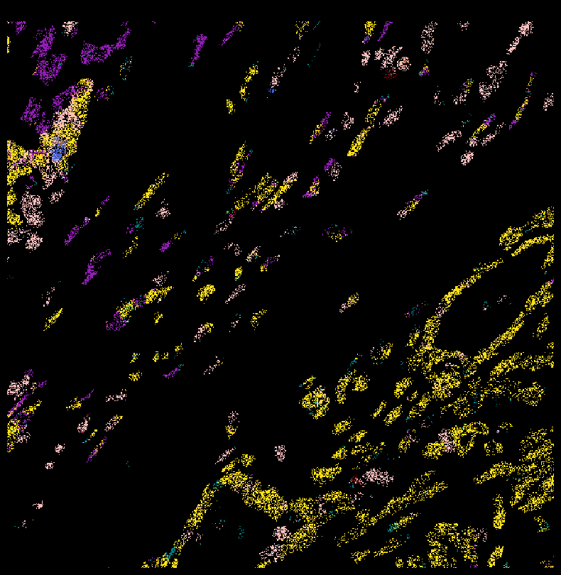 <Figure size 1000x1000 with 1 Axes>